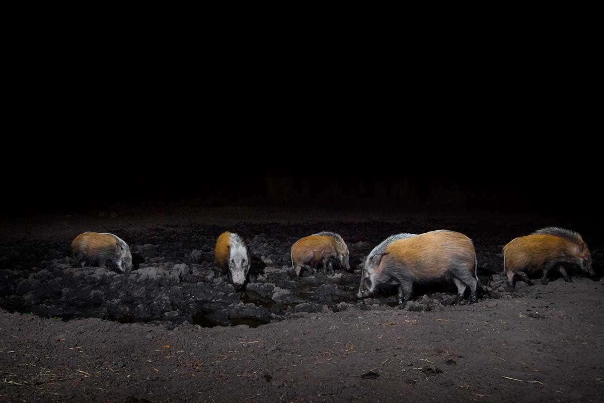 New Scientist. Science news and long reads from expert journalists, covering developments in science, technology, health and the environment on the website and the magazine.