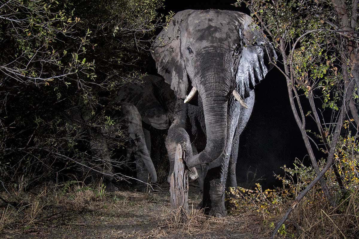 New Scientist. Science news and long reads from expert journalists, covering developments in science, technology, health and the environment on the website and the magazine.