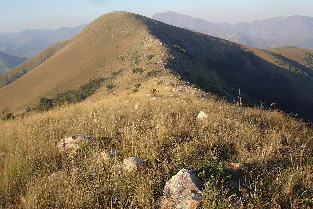 New Scientist. Science news and long reads from expert journalists, covering developments in science, technology, health and the environment on the website and the magazine.