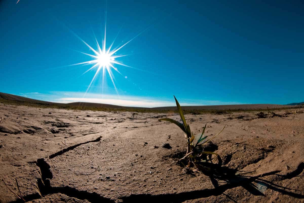 A desert, with a few stones and dry branches in the foreground and a very bright sun shining in a clear, dark blue sky