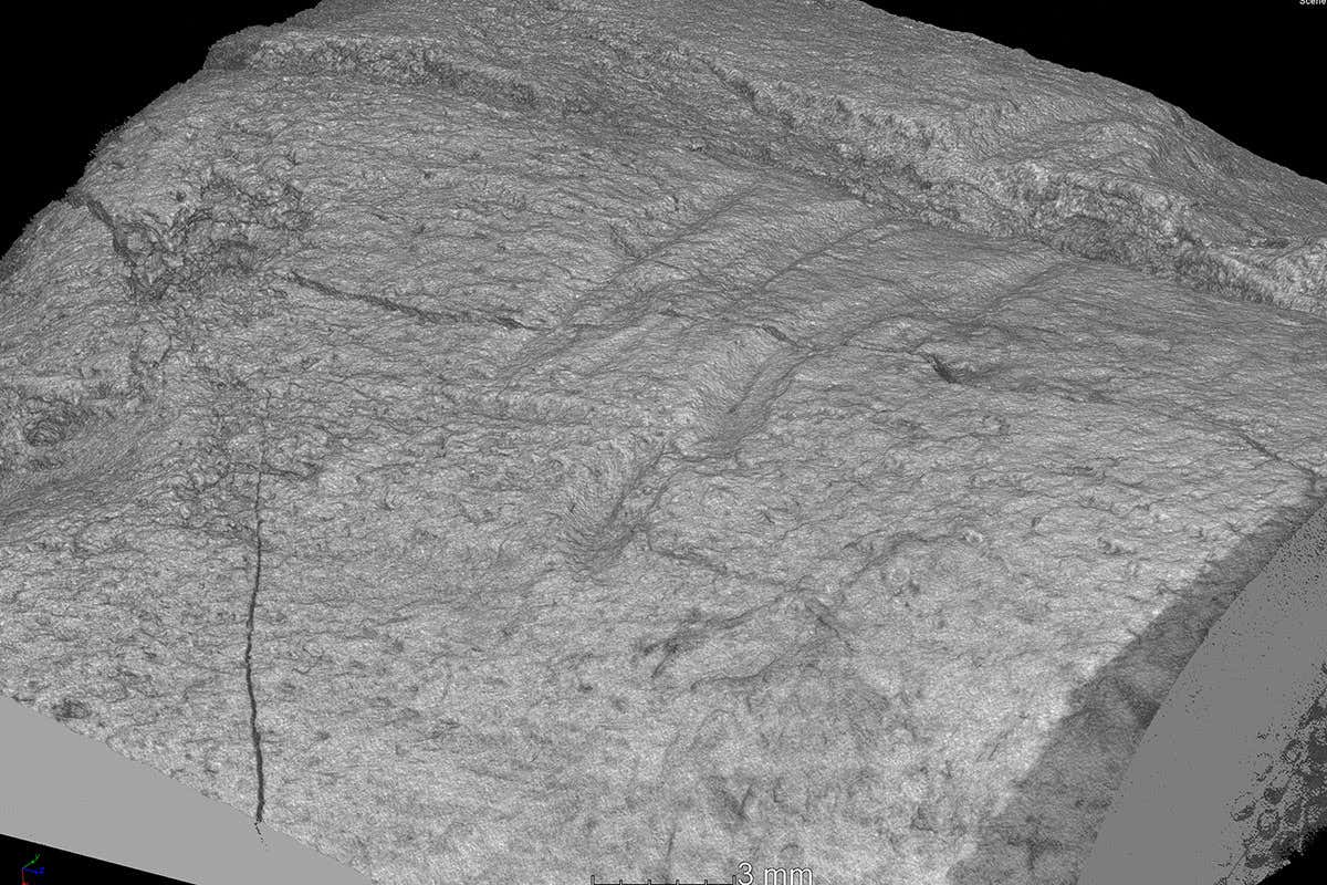 Microtomography of the cut marks