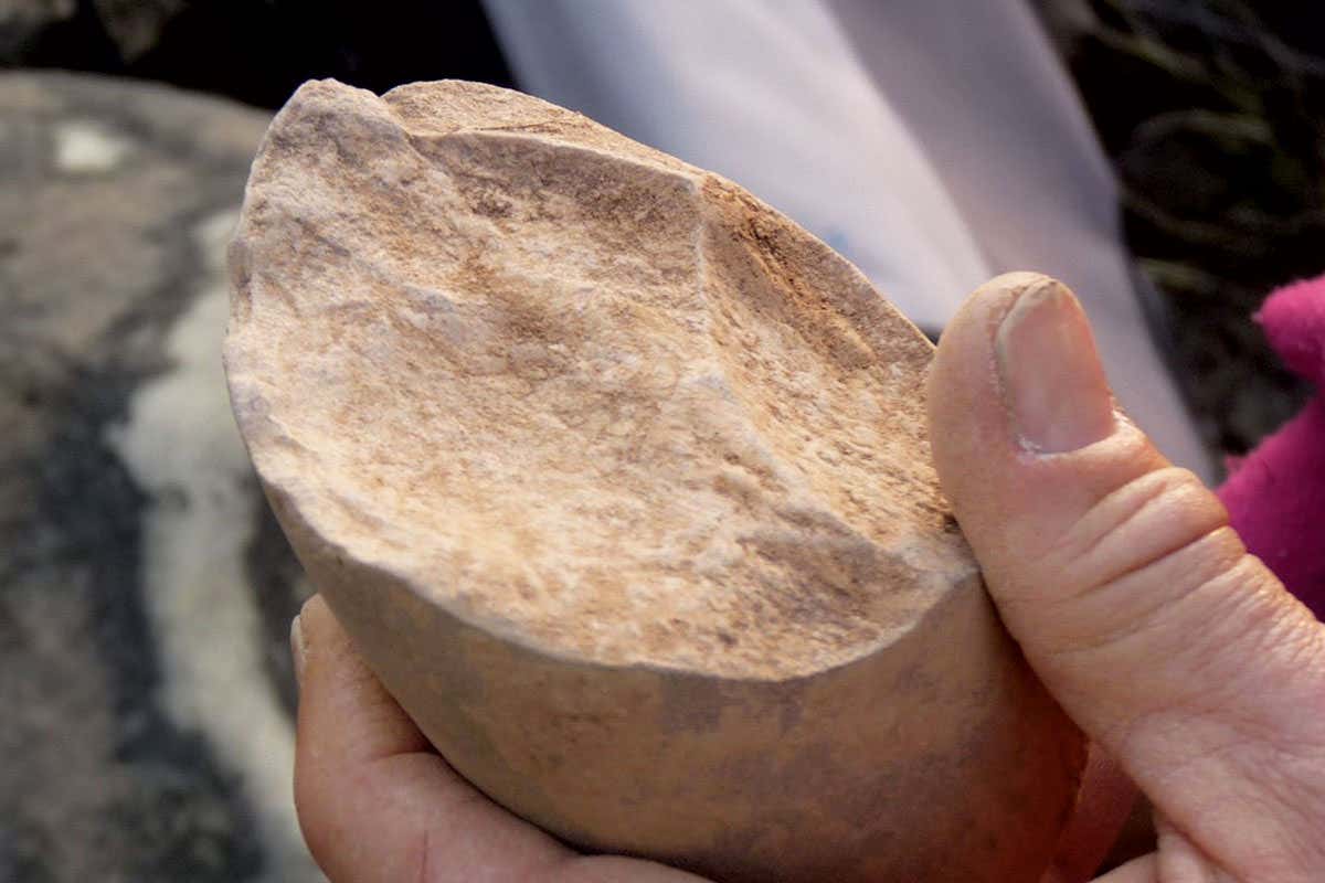 Early stone tool found in Asia