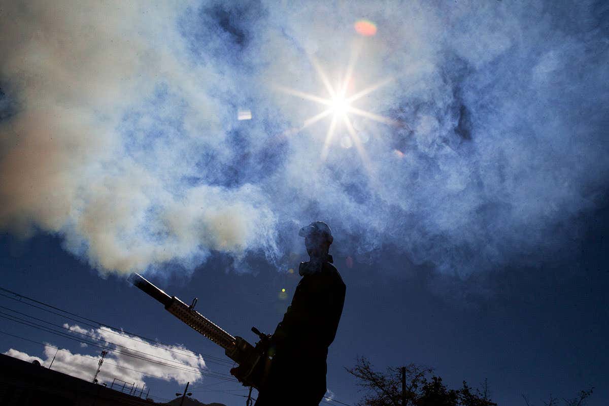 New Scientist. Science news and long reads from expert journalists, covering developments in science, technology, health and the environment on the website and the magazine.