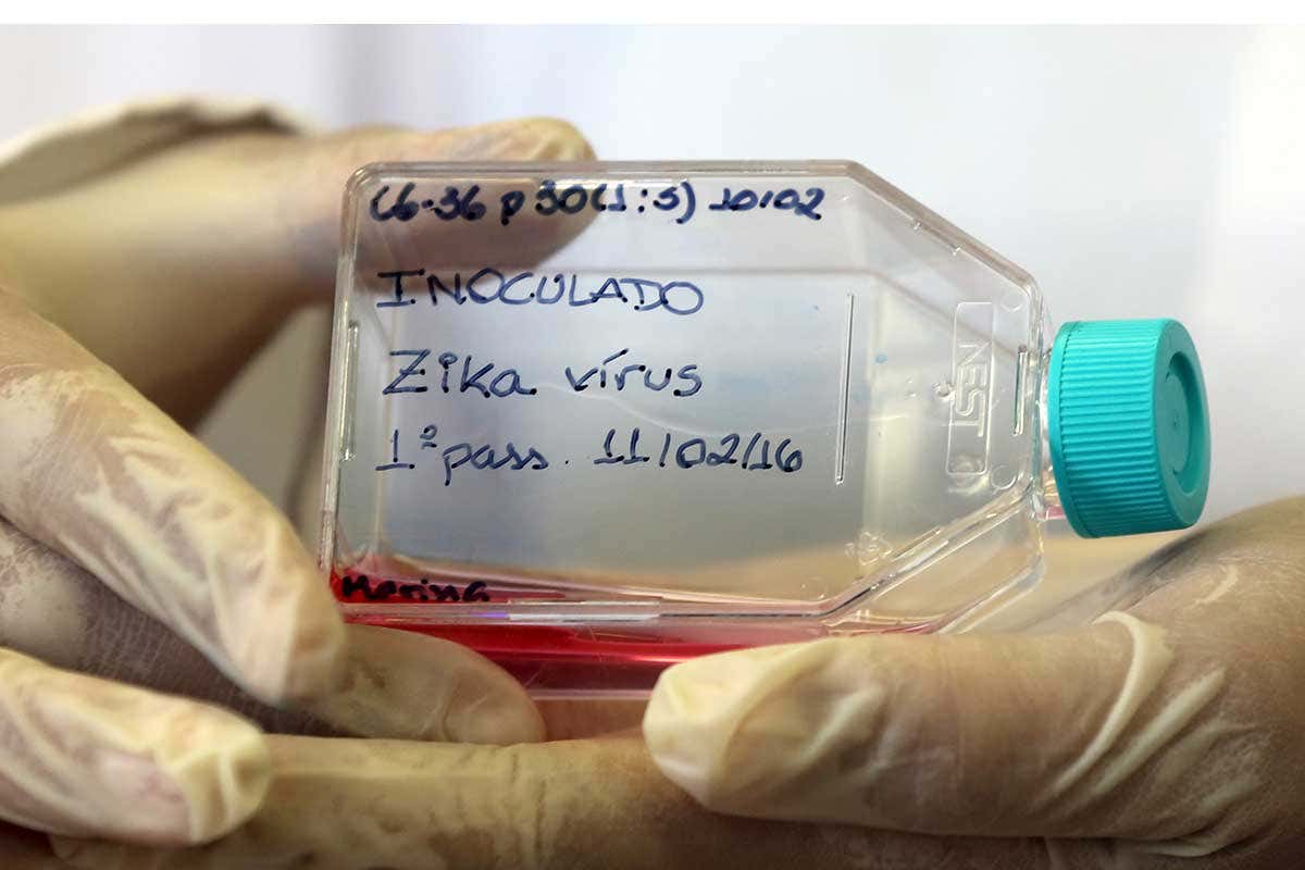 A small plastic bottle marked as containing a sample of the Zika virus