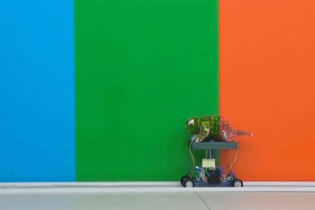 robot chameleon