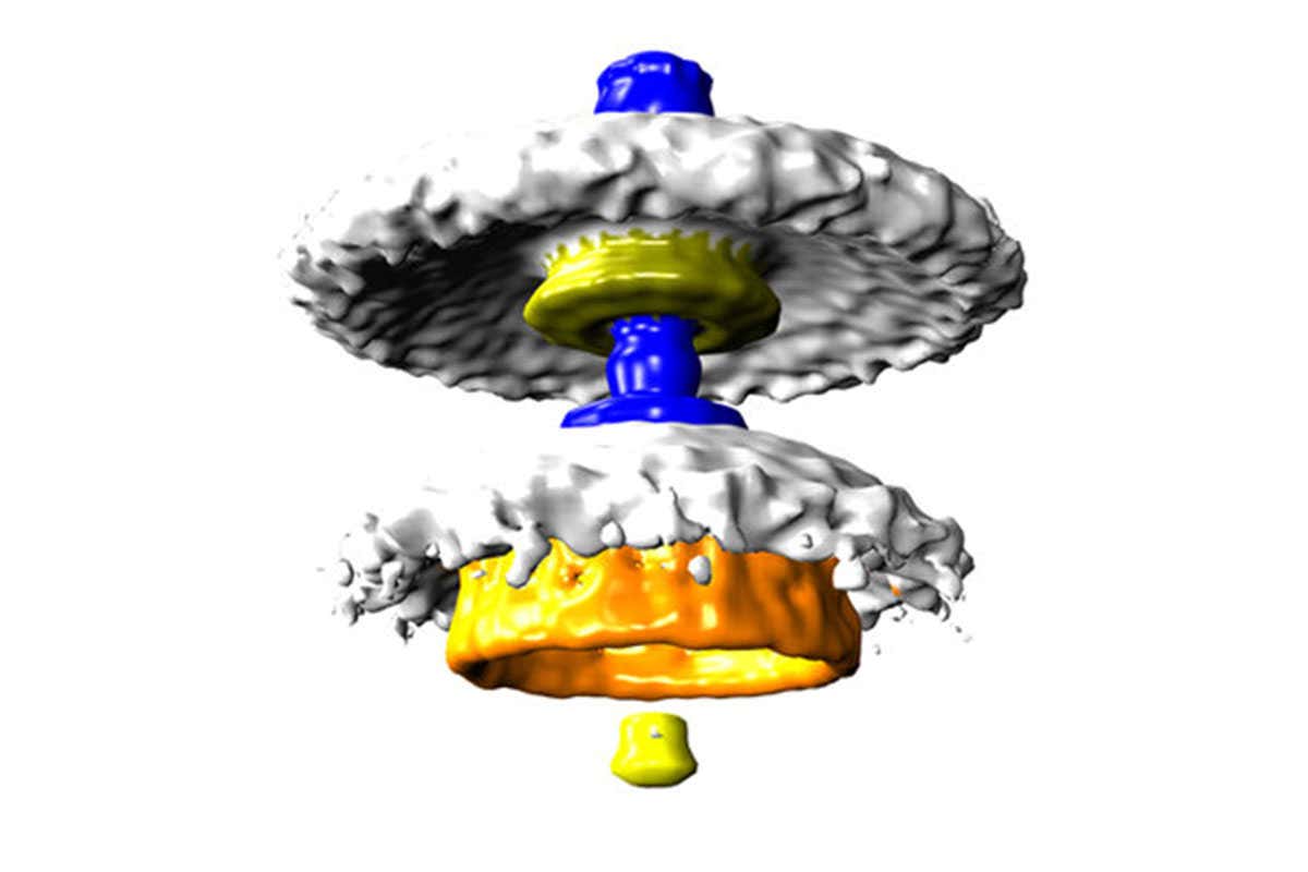 New Scientist. Science news and long reads from expert journalists, covering developments in science, technology, health and the environment on the website and the magazine.