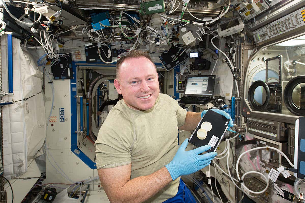 New Scientist. Science news and long reads from expert journalists, covering developments in science, technology, health and the environment on the website and the magazine.