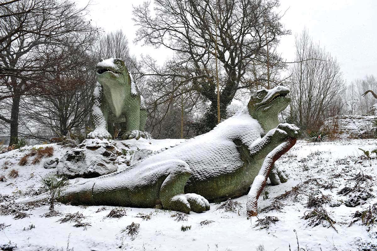 Replica dinosaurs covered in snow