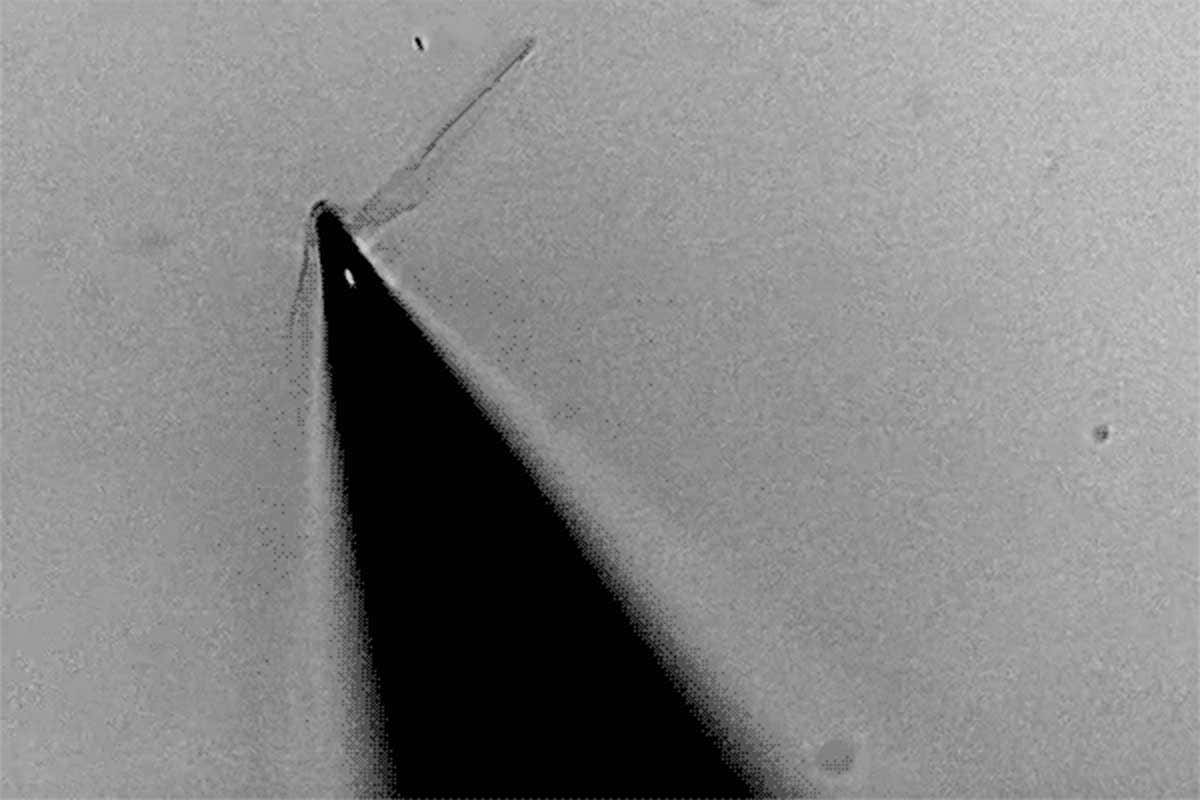 New Scientist. Science news and long reads from expert journalists, covering developments in science, technology, health and the environment on the website and the magazine.