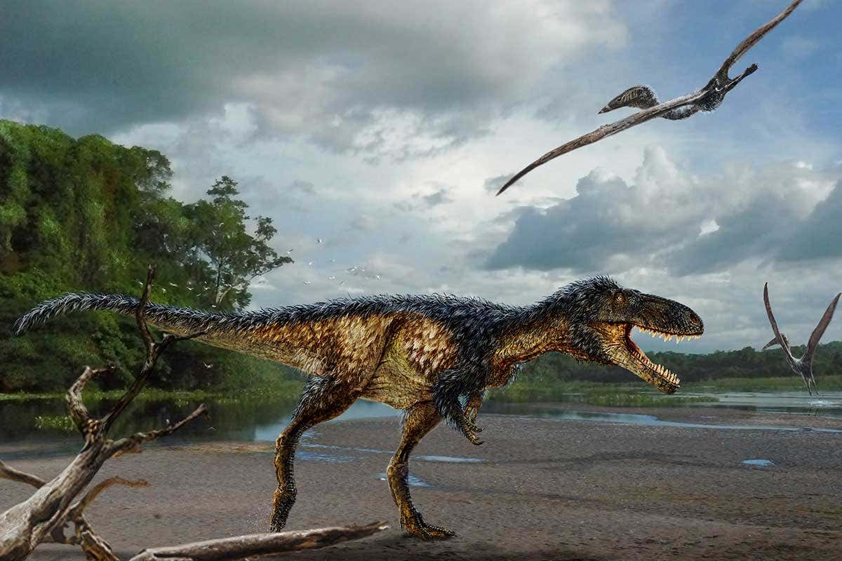 Prehistoric scene with tyrannosaur