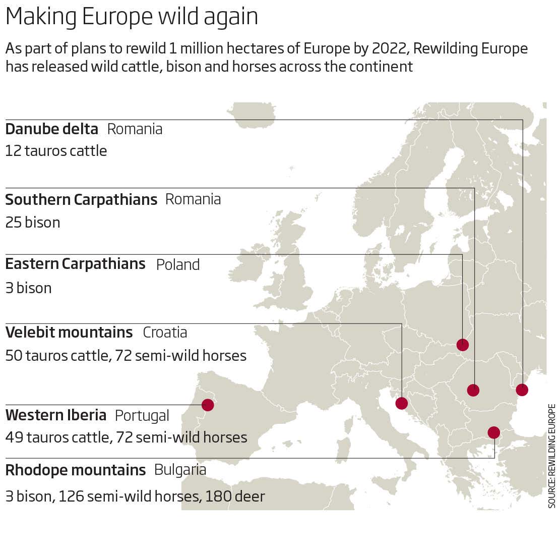 New Scientist. Science news and long reads from expert journalists, covering developments in science, technology, health and the environment on the website and the magazine.