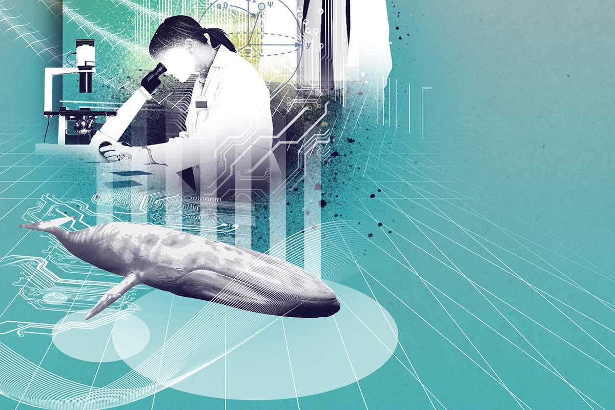 Illustration showing whale and person in white coat with microscope