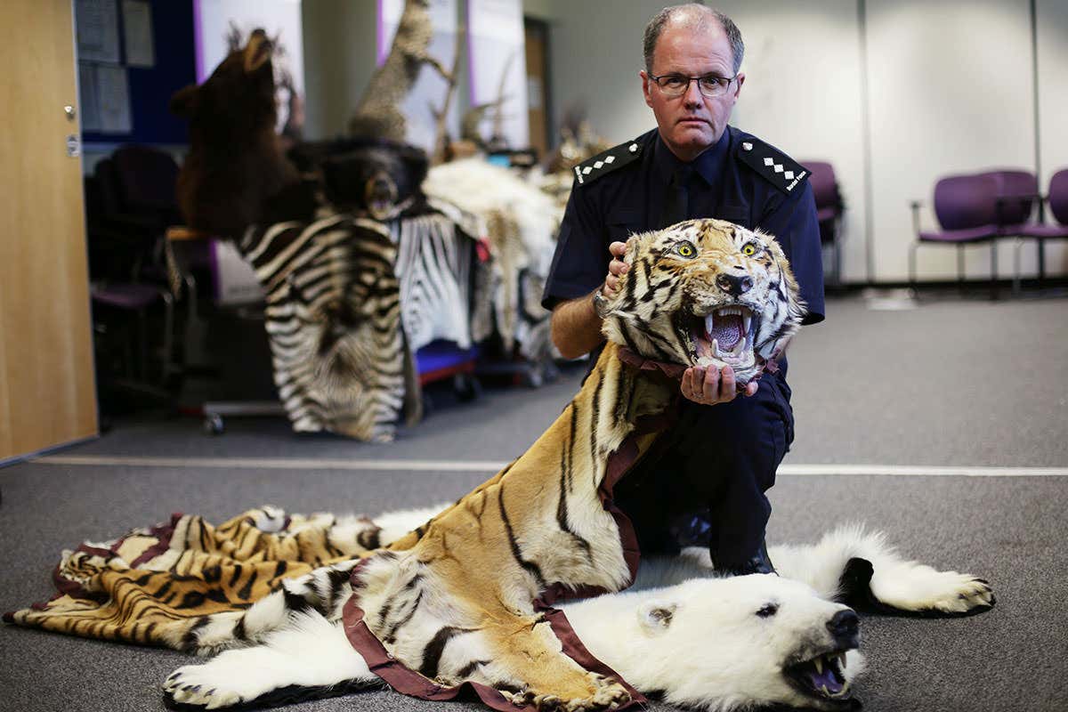 Europe unveils bolder plan to combat wildlife crime