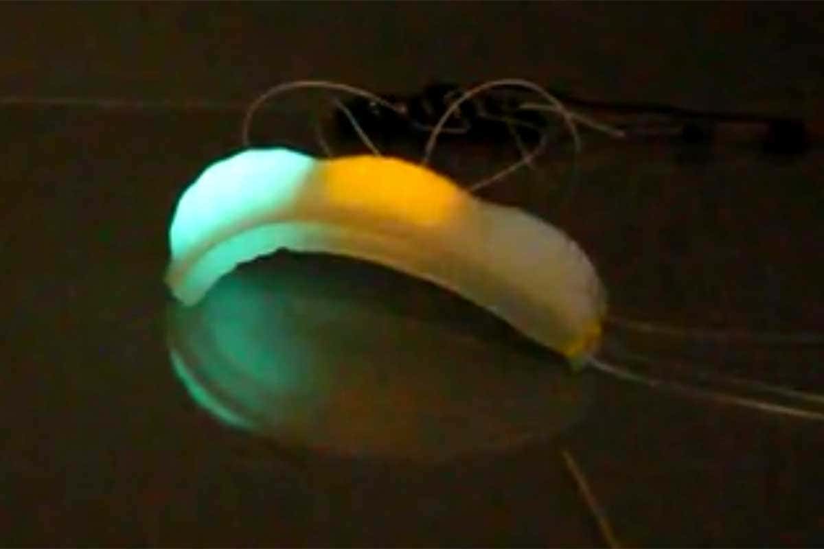 Super-stretchy robot skin can become brighter when it bends