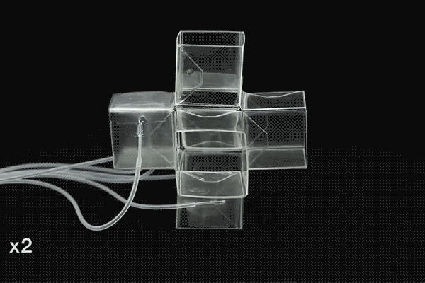 New Scientist. Science news and long reads from expert journalists, covering developments in science, technology, health and the environment on the website and the magazine.