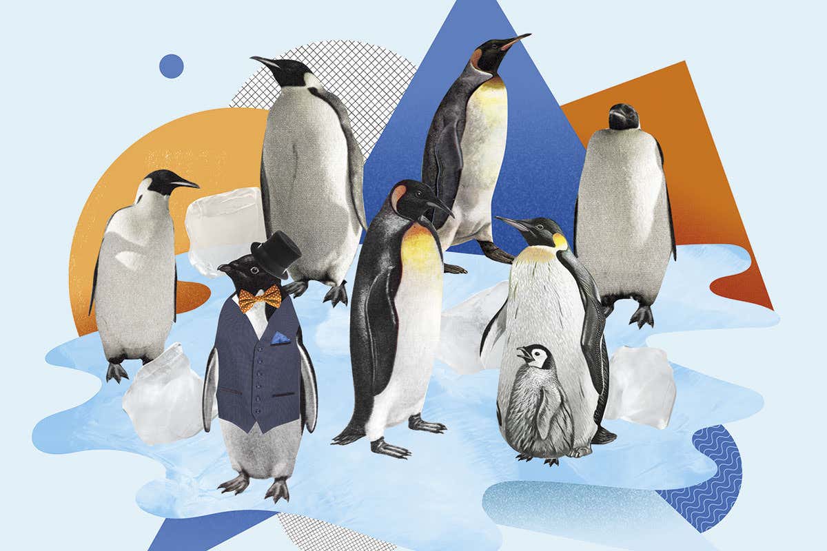penguins artwork