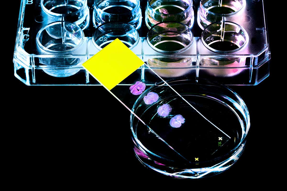 New Scientist. Science news and long reads from expert journalists, covering developments in science, technology, health and the environment on the website and the magazine.