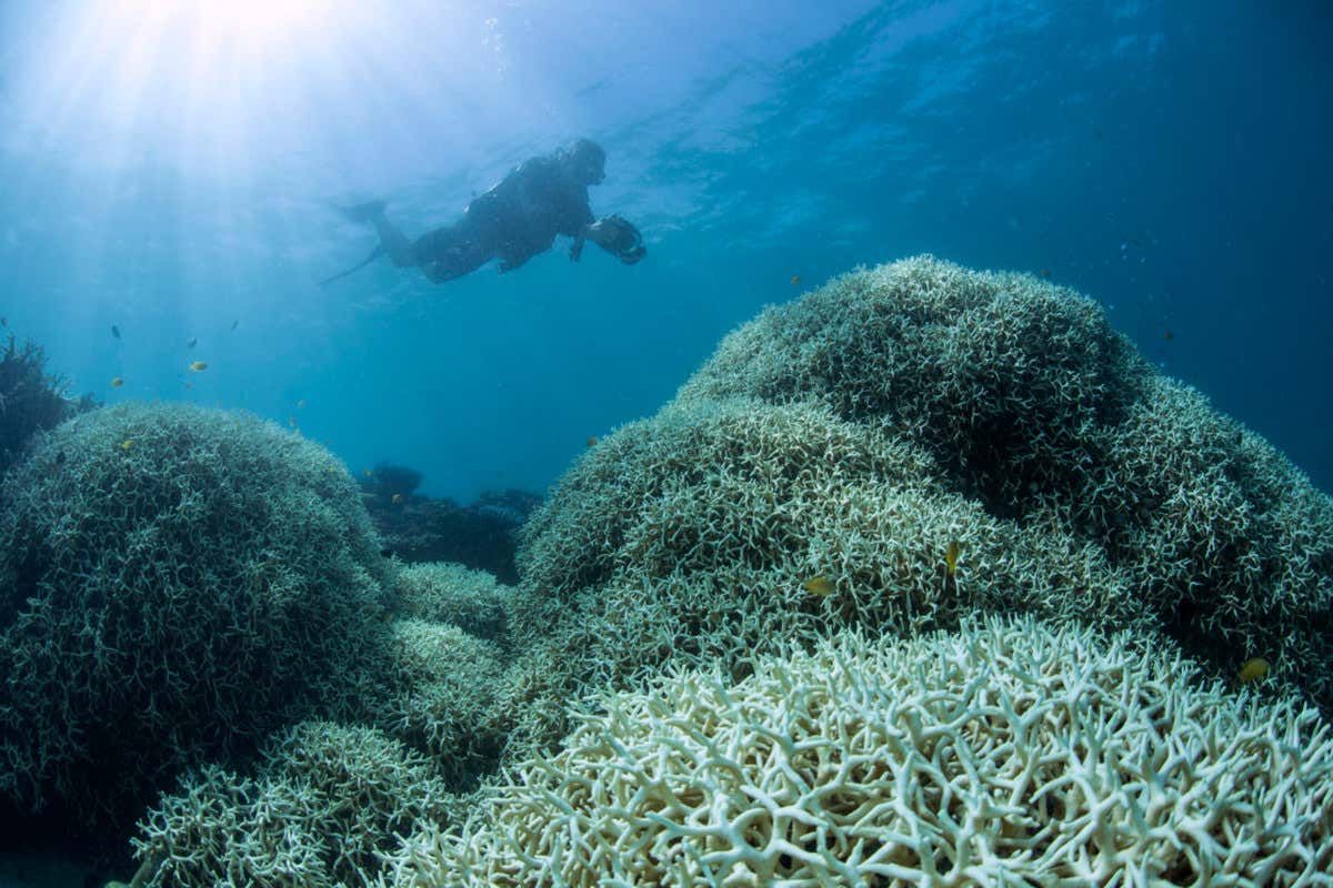 New Scientist. Science news and long reads from expert journalists, covering developments in science, technology, health and the environment on the website and the magazine.