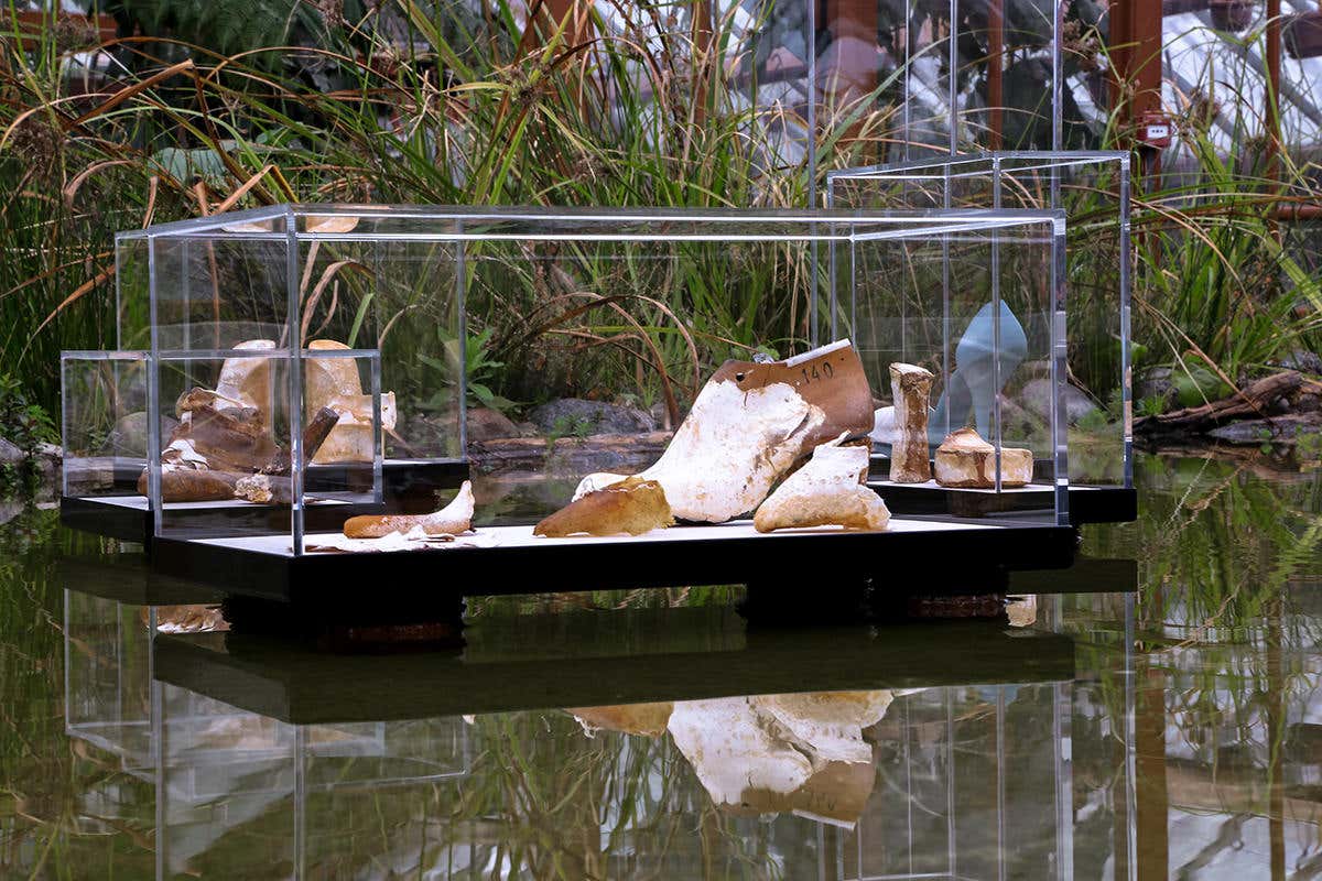 A glass display case holds oddly shaped mycelial shoes against a leafy backdrop