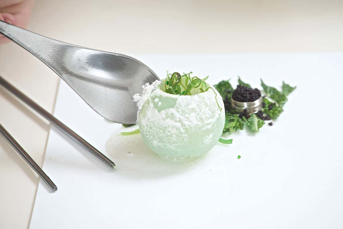 The Fungl Mutarium produces edible cups of fungal material