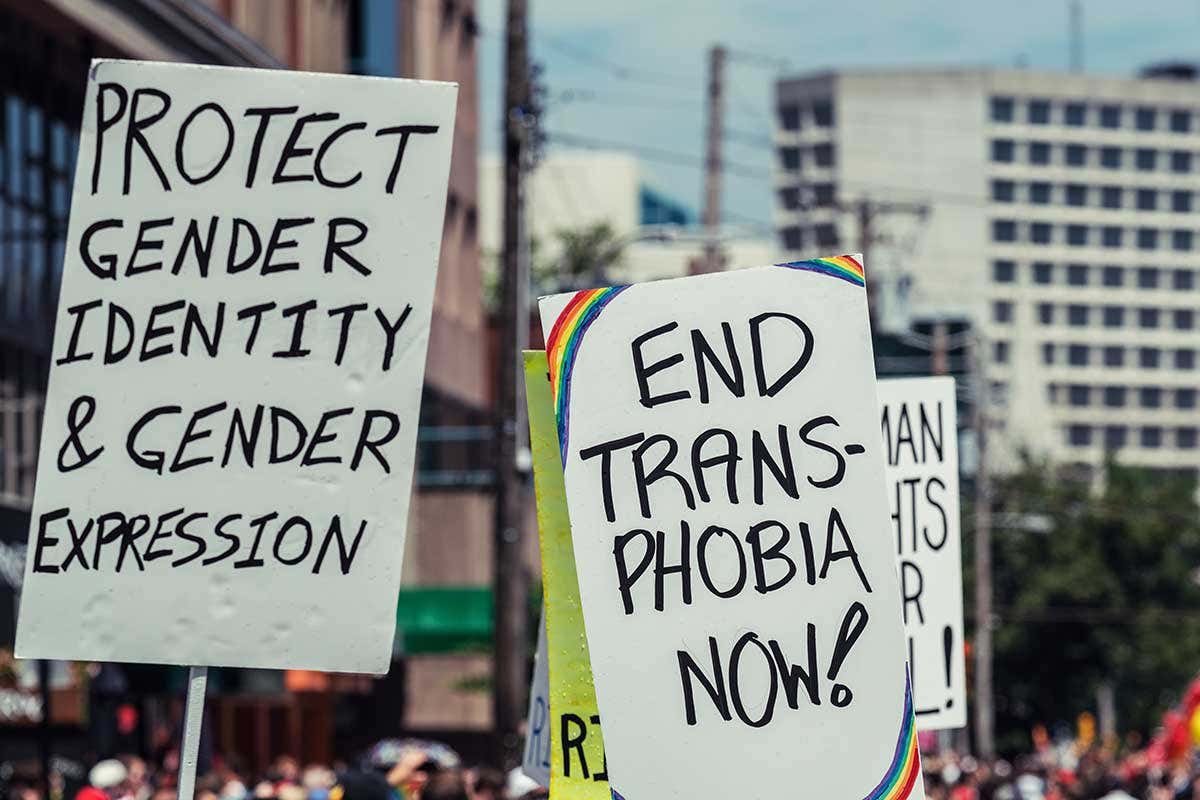 Pro-transgender protest posters at a march