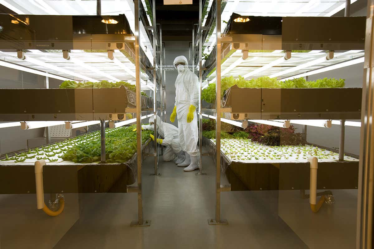 New Scientist. Science news and long reads from expert journalists, covering developments in science, technology, health and the environment on the website and the magazine.