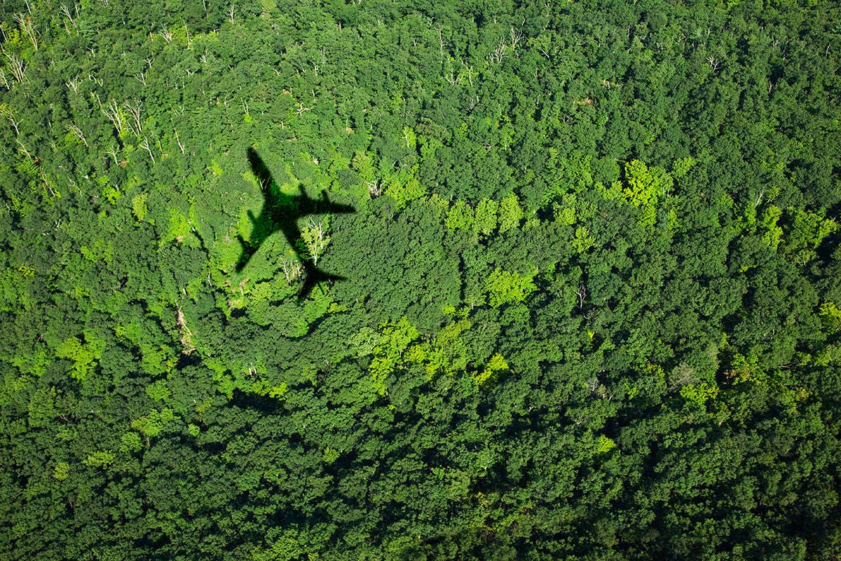 Aircraft shadow over forest