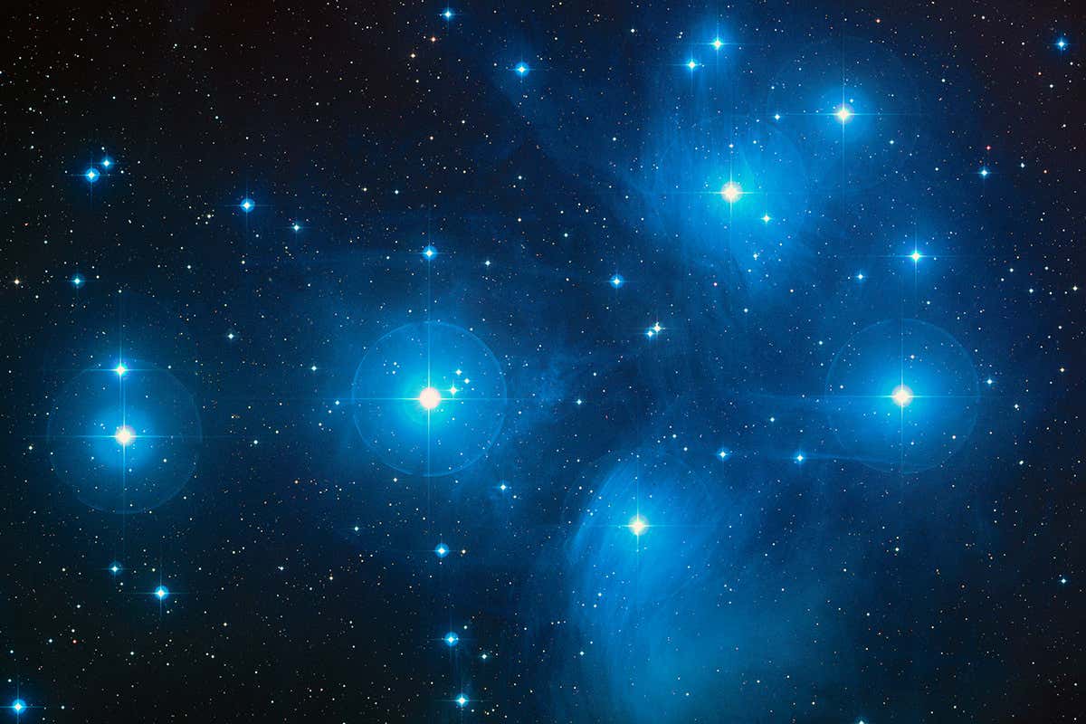 The Pleiades star cluster: it might have been the sun's nursery