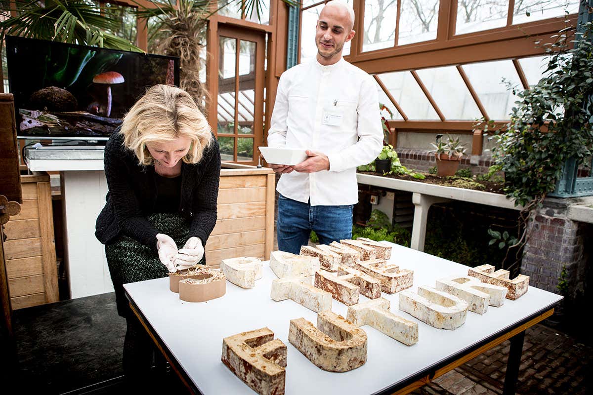 Fungal material made into letters spelling out 