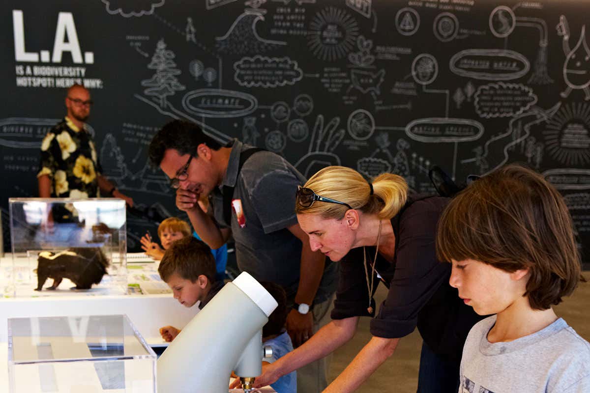 Visitors examine exhibits at LA's Natural History Museum