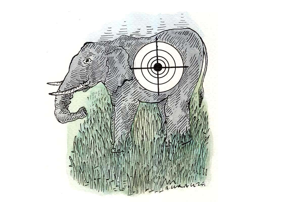elephant cartoon