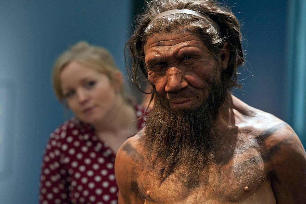 Missing Y chromosome kept us apart from Neanderthals