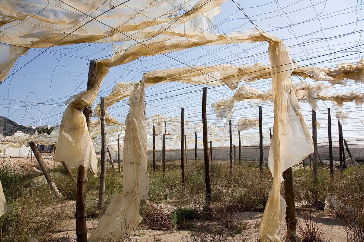 Abandoned polytunnel in Spain