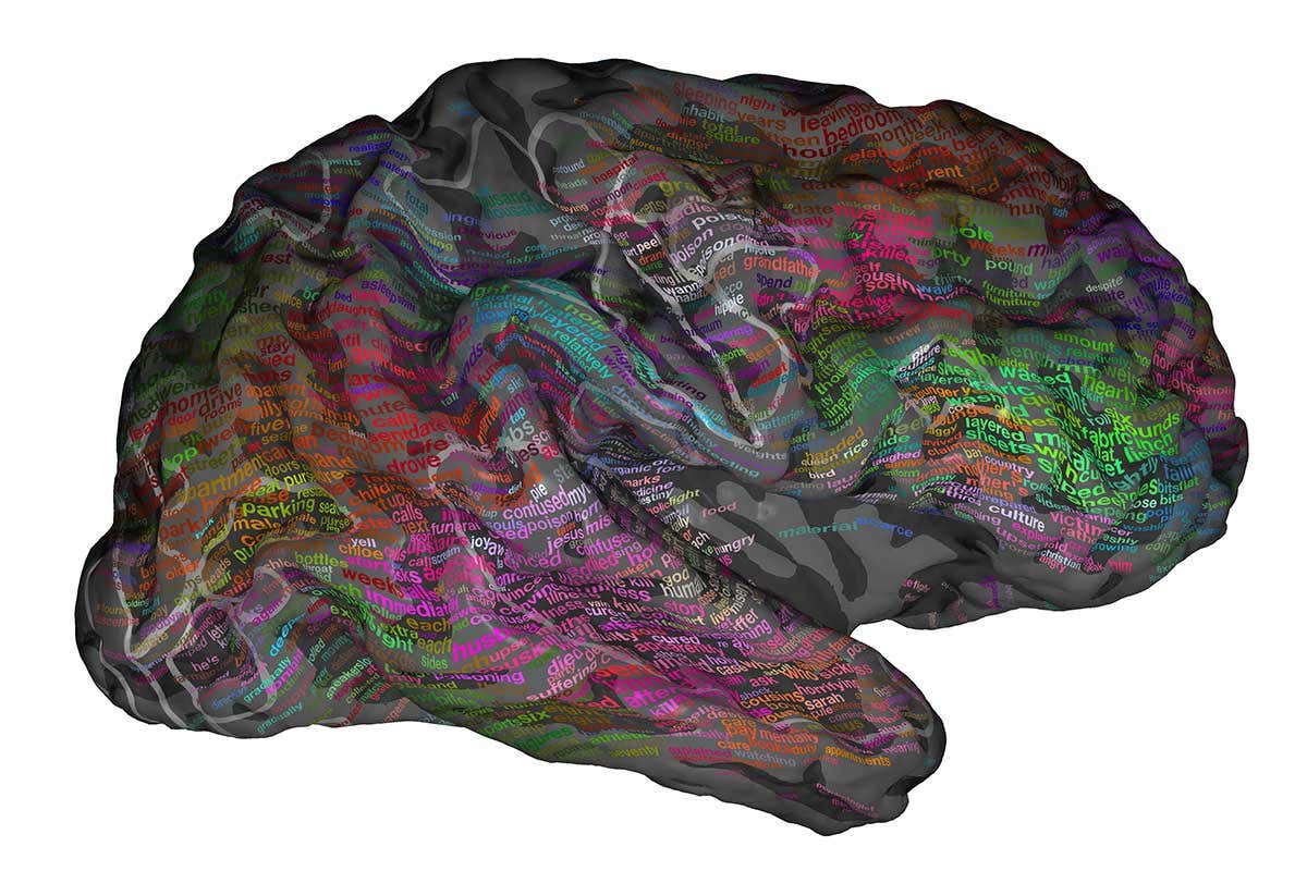 Image of brain with multicoloured words written on it