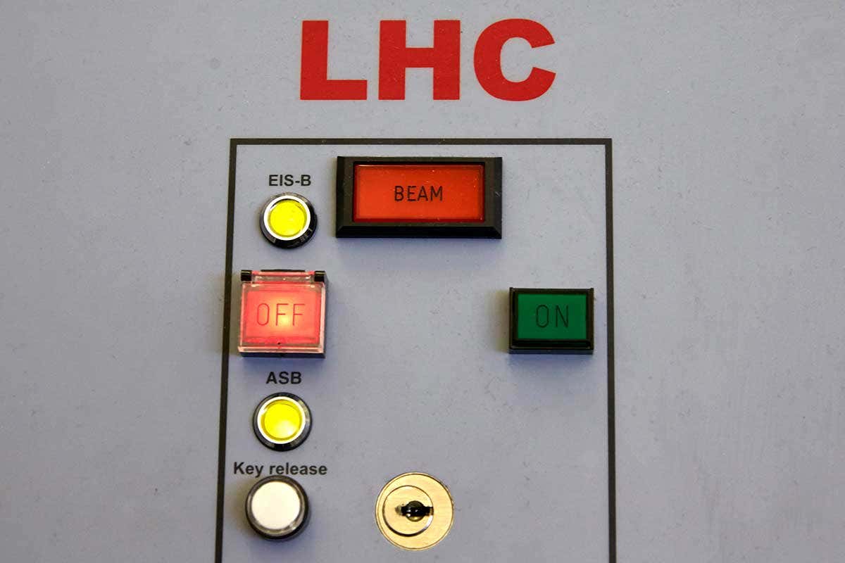 Beech marten halts LHC after chewing on a power cable