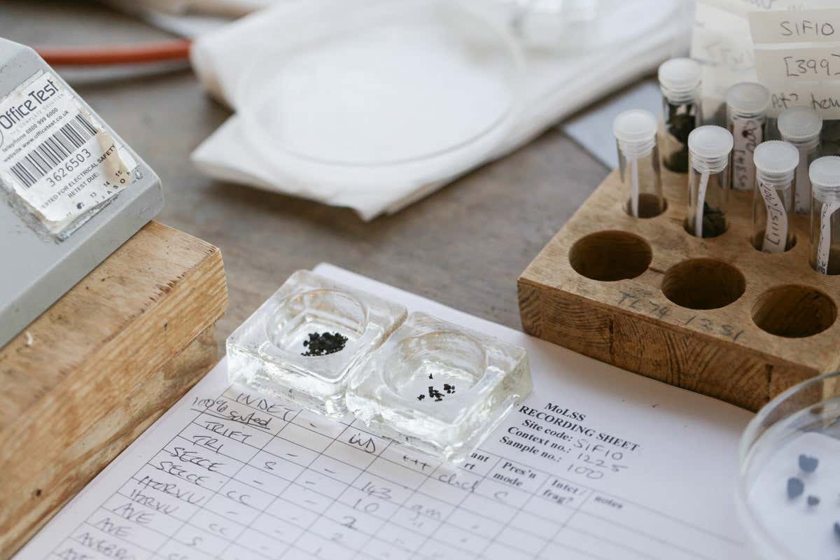 New Scientist. Science news and long reads from expert journalists, covering developments in science, technology, health and the environment on the website and the magazine.