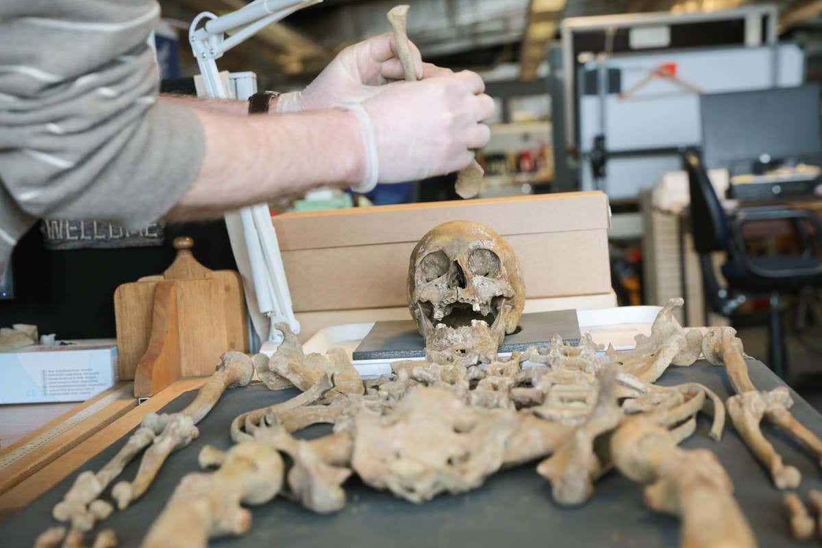 New Scientist. Science news and long reads from expert journalists, covering developments in science, technology, health and the environment on the website and the magazine.