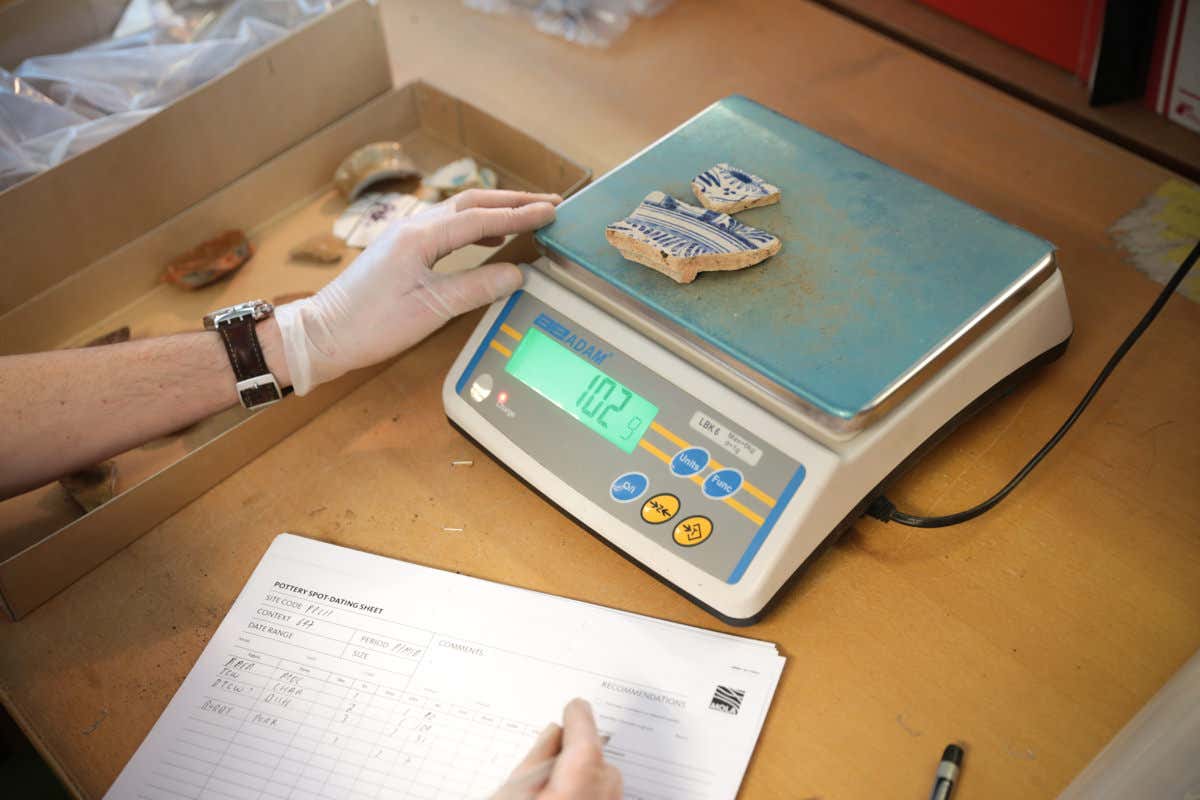 New Scientist. Science news and long reads from expert journalists, covering developments in science, technology, health and the environment on the website and the magazine.