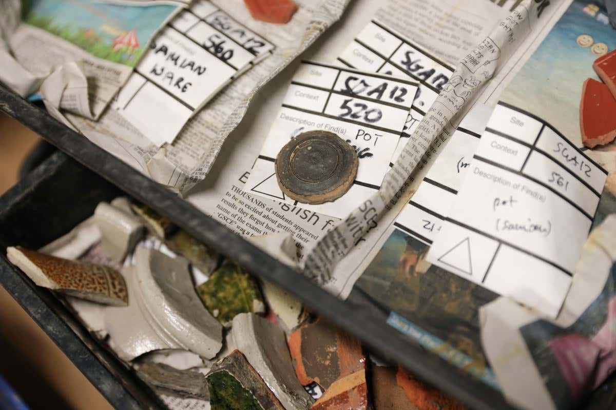 New Scientist. Science news and long reads from expert journalists, covering developments in science, technology, health and the environment on the website and the magazine.