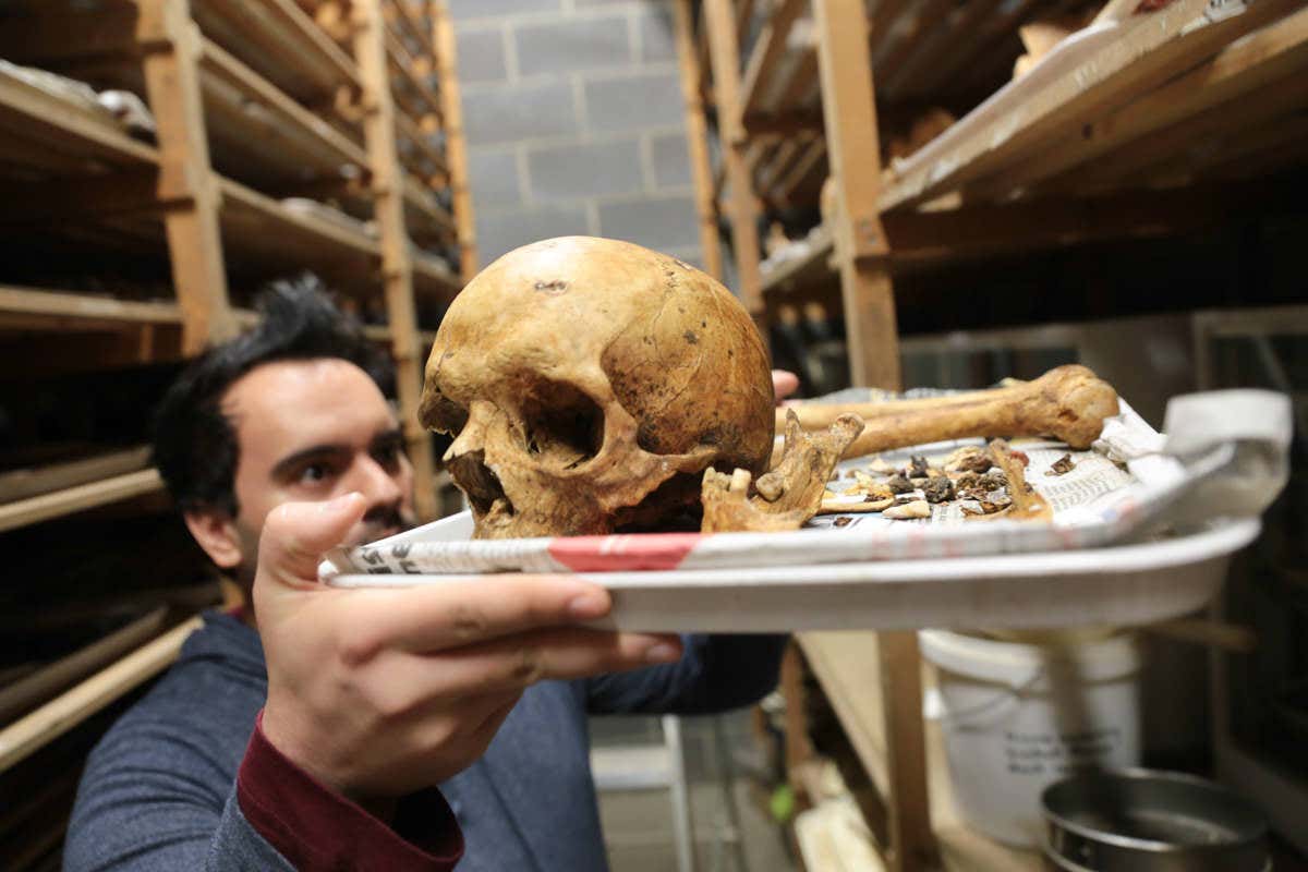 New Scientist. Science news and long reads from expert journalists, covering developments in science, technology, health and the environment on the website and the magazine.