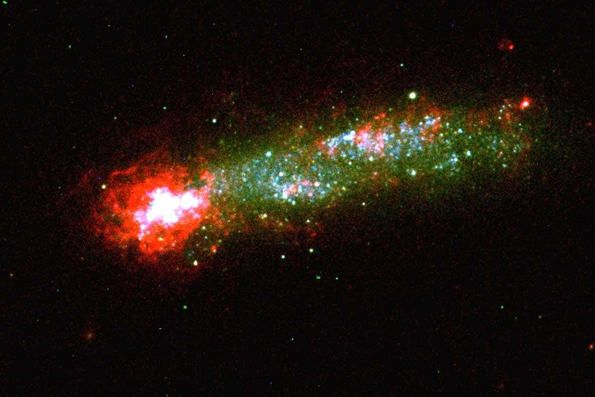 A tadpole galaxy with a bright head and dimmer tail