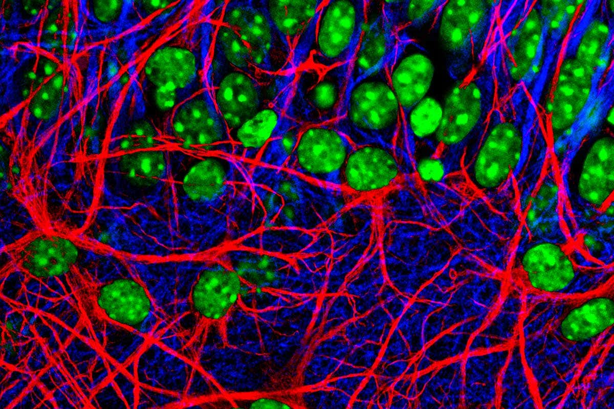 New Scientist. Science news and long reads from expert journalists, covering developments in science, technology, health and the environment on the website and the magazine.