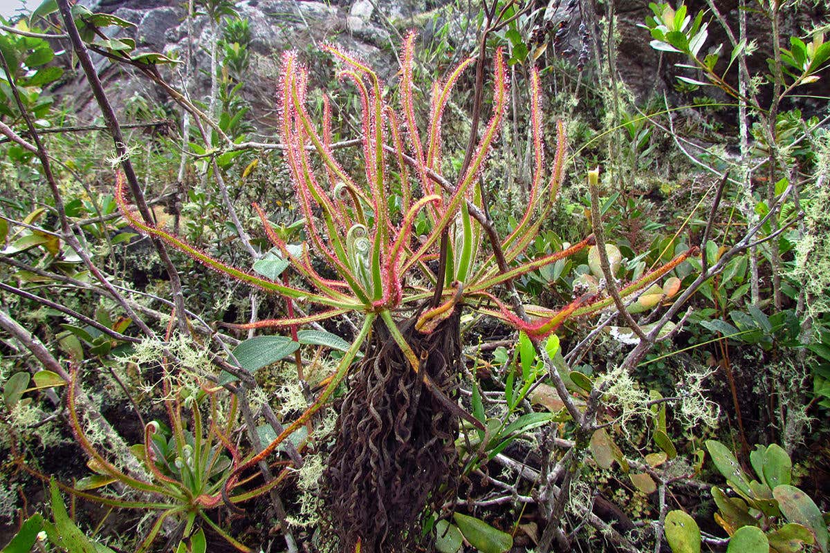 New Scientist. Science news and long reads from expert journalists, covering developments in science, technology, health and the environment on the website and the magazine.