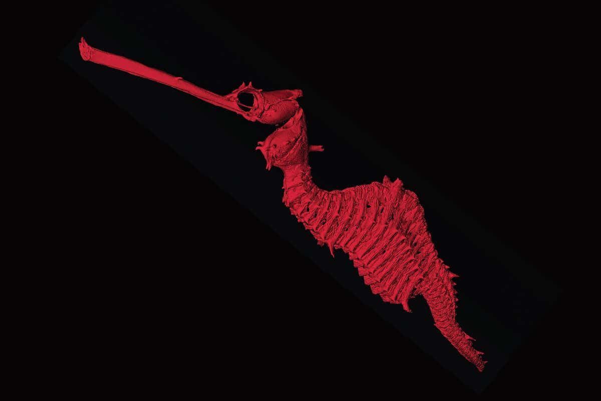 New Scientist. Science news and long reads from expert journalists, covering developments in science, technology, health and the environment on the website and the magazine.