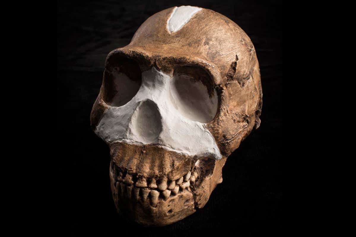 New Scientist. Science news and long reads from expert journalists, covering developments in science, technology, health and the environment on the website and the magazine.