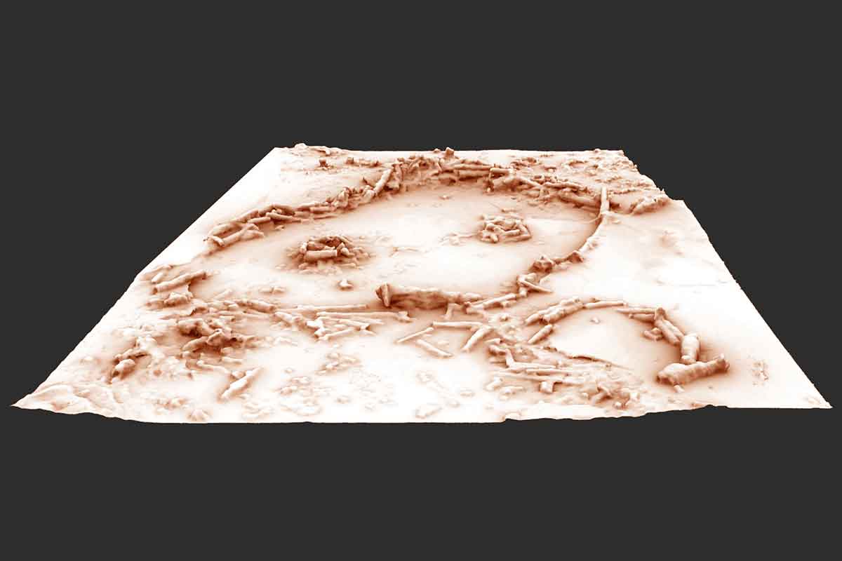 A 3D reconstruction of the structures in Bruniquel cave