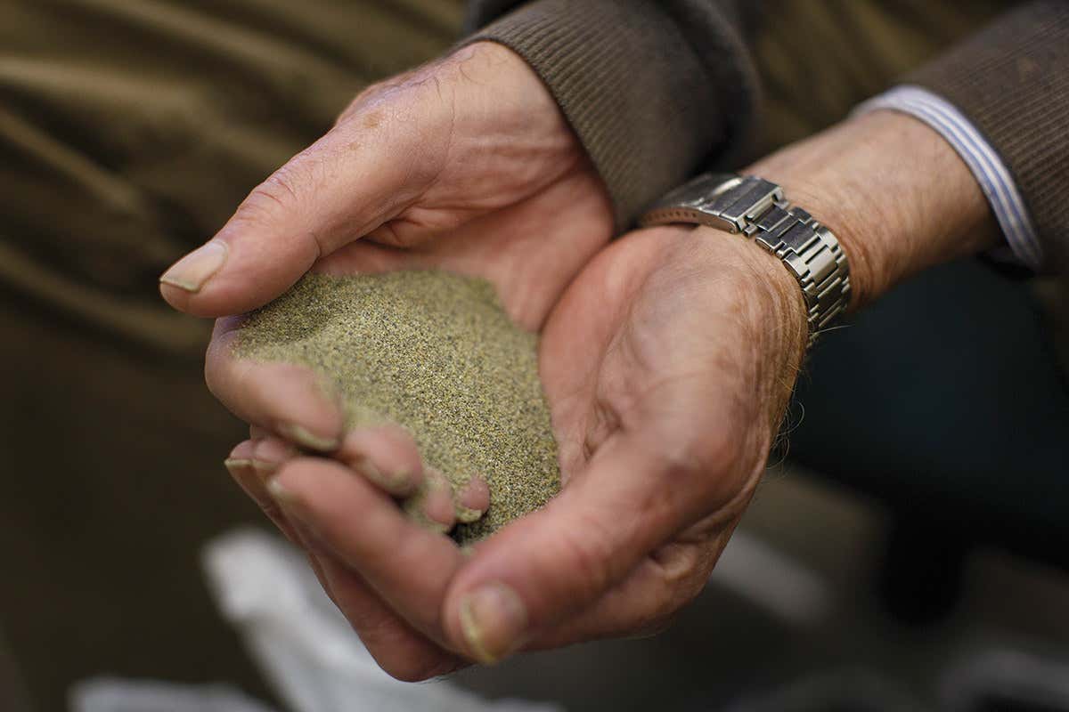Ground up mineral in a person's cupped hands