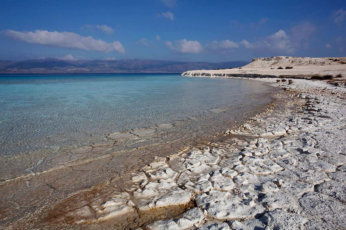 New Scientist. Science news and long reads from expert journalists, covering developments in science, technology, health and the environment on the website and the magazine.