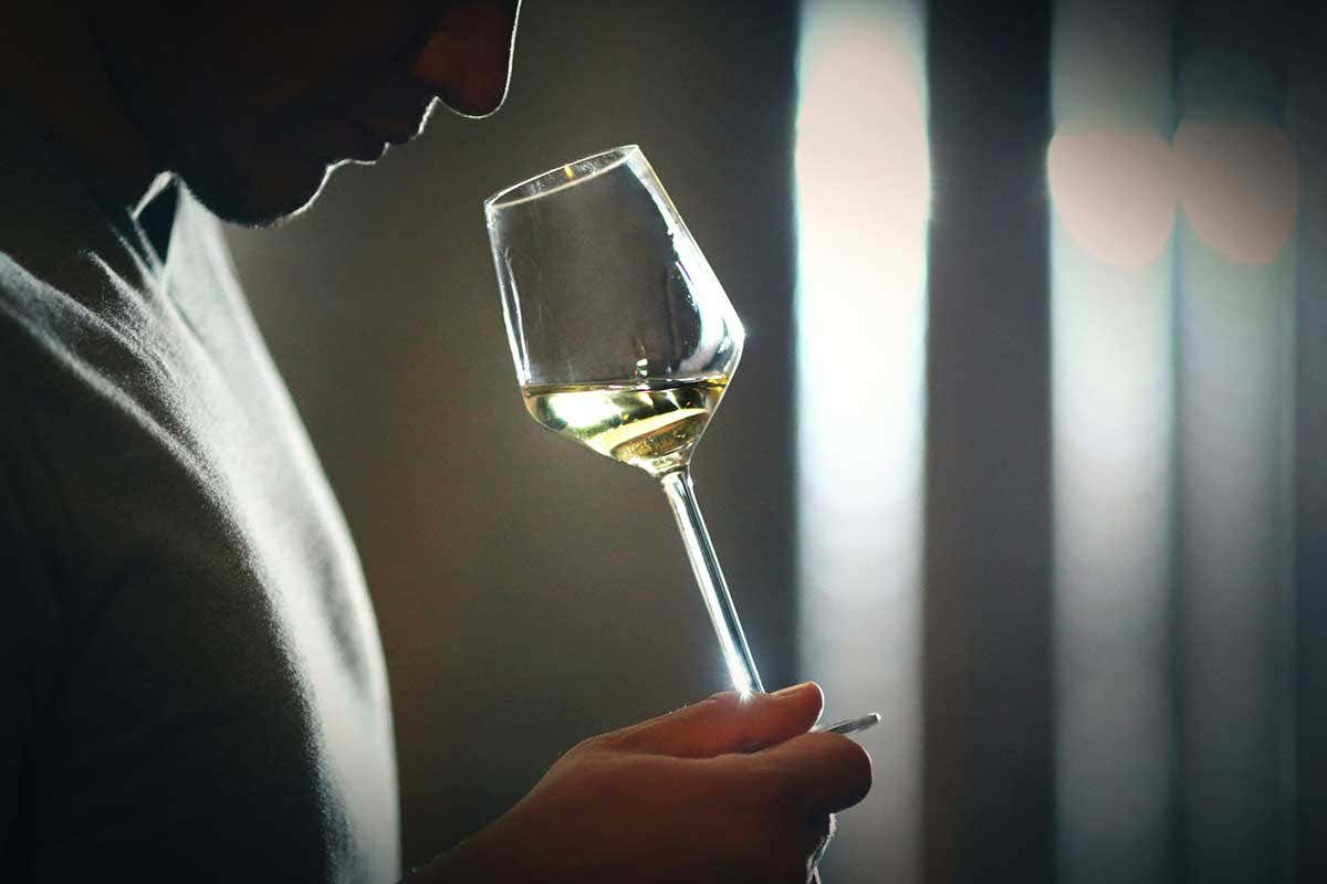 A person noses a glass of white wine
