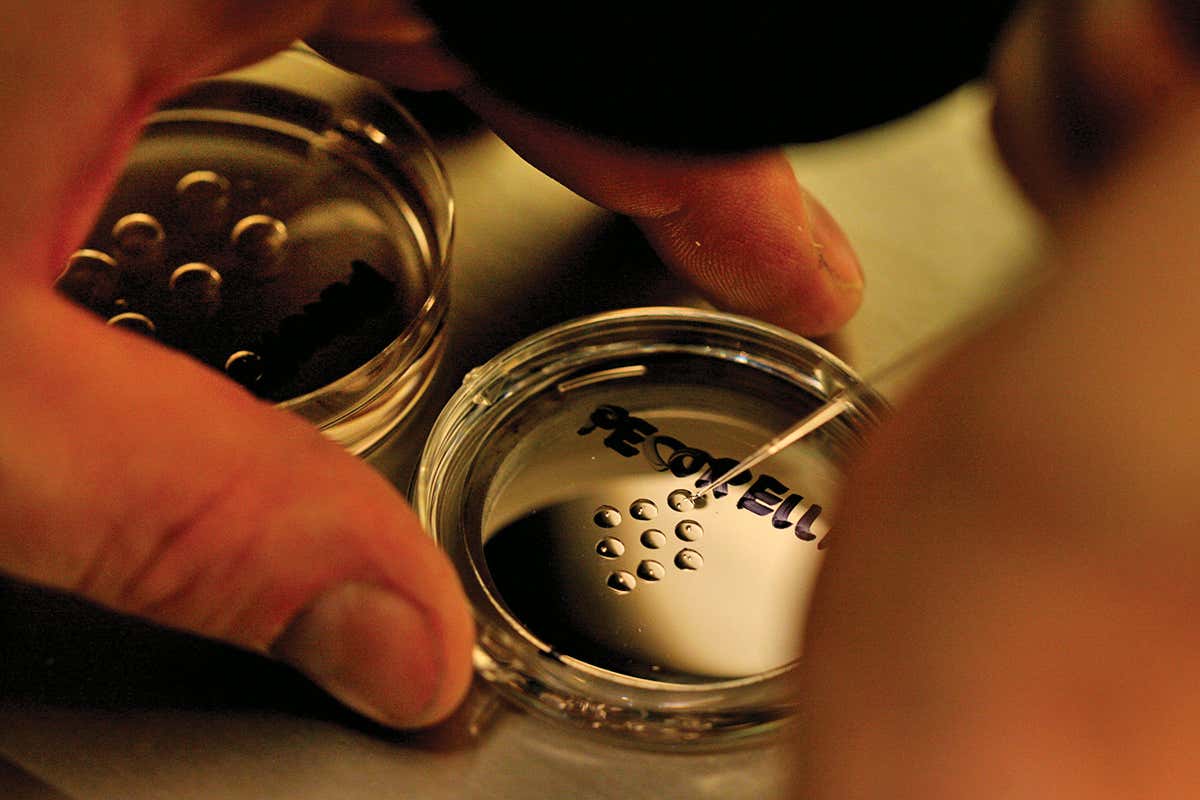 Researcher works on human embryos in dish